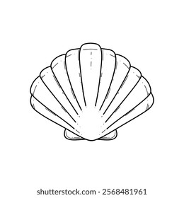 Seashell scallop hand-drawn isolated on a white background, graphic linear black and white illustration, vector. A decorative element for decoration, design, and doodle-style decoration