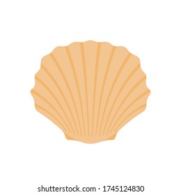 Seashell Sea Scallop. Seashell. Clam. Oyster. 