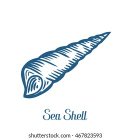 Seashell, sea shell, nature ocean aquatic underwater vector. Hand drawn marine engraving illustration on white background