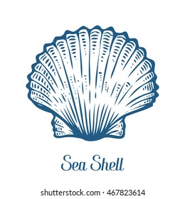 Seashell, Sea Shell, Nature Ocean Aquatic Underwater Vector. Hand Drawn Seashell Marine Engraving Illustration On White Background