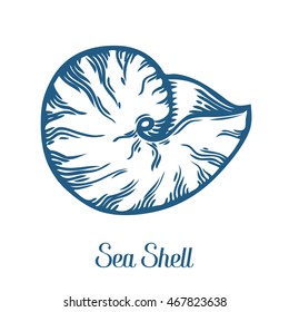 Seashell, sea shell, nature ocean aquatic underwater vector. Hand drawn marine engraving illustration on white background