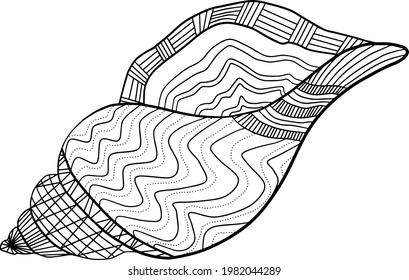 seashell sea vector isolated hand drawing sketch black and white coloring book silhouette
