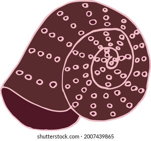 seashell sea vector isolated hand drawing sketch pink