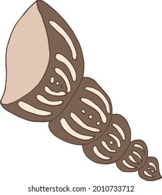 seashell sea vector isolated hand drawing sketch beige