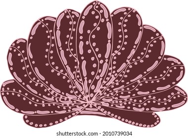seashell sea vector isolated hand drawing sketch pink