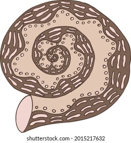 seashell sea vector isolated hand drawing sketch beige