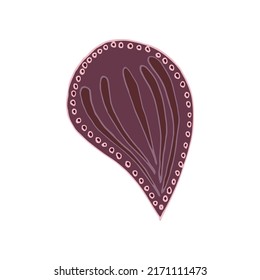 seashell sea vector isolated hand drawing sketch pink