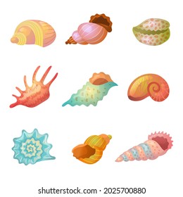 Seashell. Sea weather item starfish colorful sand items recent vector stylized seashells isolated