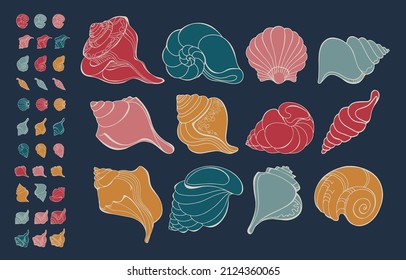 Seashell. Set of cartoon shell. Hand drawn conch. Vector illustration.