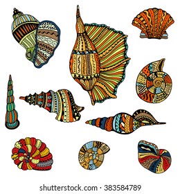 Seashell set collection. Vector illustration. Zentangle. Hand drawn artwork. Beach concept for restaurant menu card, ticket, branding, logo label.