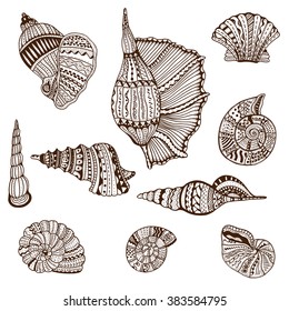 Seashell set collection. Vector illustration. Zentangle. Hand drawn artwork. Beach concept for restaurant menu card, ticket, branding, logo label.