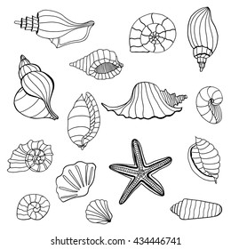 Seashell set collection. Vector illustration. Zentangle. Hand drawn artwork. Beach concept for restaurant menu card, ticket, branding, logo label.
