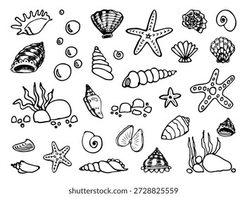Concha do mar definida. Mão desenhada doodle vetor. Paisagem subaquática. Conchas, algas marinhas. Animais marinhos, estrelas-do-mar, ostras, moluscos. Recife marinho. Oceano, vida aquática. Elementos de arte da linha de ilustração.