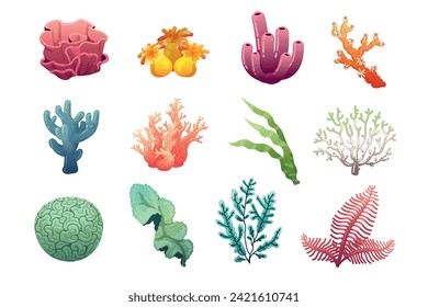 Seashell set. Shellfish ocean underwater conch snail. Coral reef decorative elements. Mollusk shell design collection, scallop, aquarium cute plants. Colorful cartoon under water. Vector illustration