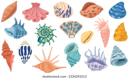 Seashell set. Various mollusk seashells different forms, starfish, coral. Underwater flora, sea plants. Summer vacation collection, tropical beach shells. Vector illustration.