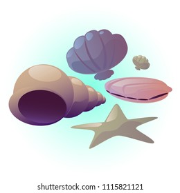 Seashell set vector illustration