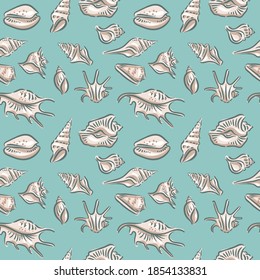 Seashell, shell, sea, mollusk, shellfish, nautical seamless pattern