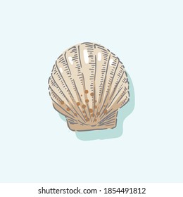 Seashell, shell, sea, mollusk, shellfish, nautical illustration