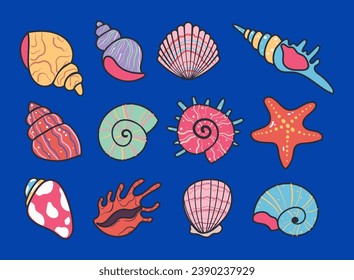 Seashell shell star shellfish marine aquatic isolated set. Vector flat graphic design illustration