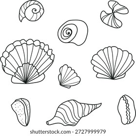 seashell silhouette collection sea shell icons set