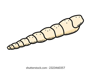 Seashell, single isolate on a white background. Vector illustration of a shell doodle sketch.