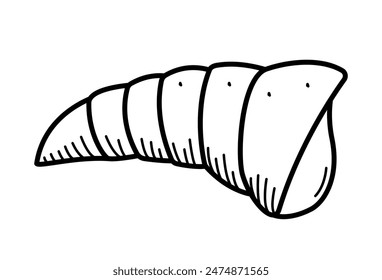 Seashell, single isolate on a white background. Vector illustration of a shell doodle sketch.