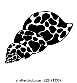 Seashell sketch. Clamshell. Vector graphics.