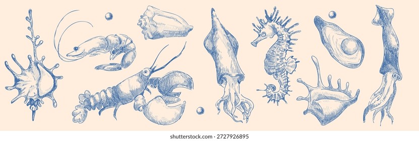 Coleção de esboço de concha com ilustrações de frutos do mar desenhadas à mão em tinta azul. Vintage gravado criaturas do mar - lagosta e lula, camarão e contornos de cavalo-marinho. A vida marinha rabisca com conchas marinhas