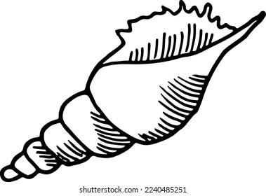 Seashell sketch. Conch shell drawing. Beach symbol