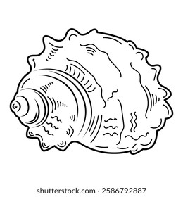 Seashell. Sketch, outline, black and white image.