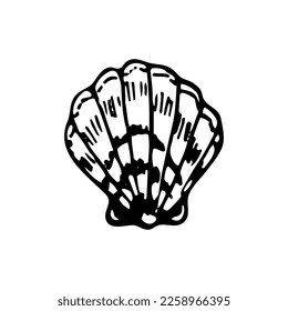 Seashell sketch. Summer beach vacation. Hand drawn vector line art illustration.