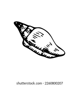Seashell sketch. Summer beach vacation. Hand drawn vector line art illustration.