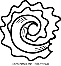 seashell sketch. vector illustration in doodle style 