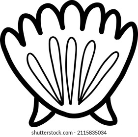 seashell sketch. vector illustration in doodle style 