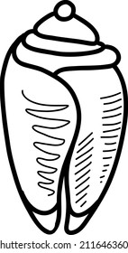 boceto de conchas marinas. ilustración vectorial en estilo doodle 