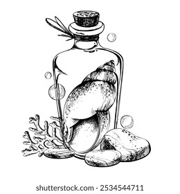 Seashell spiral corals inside glass bottle jar with cork sea pebbles and water bubbles. Hand drawn graphic illustration in black and white color line art. Sublimation arrangement on a marine theme