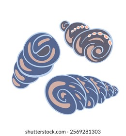 Seashell spiral. Tropical ocean animal design in cartoon style