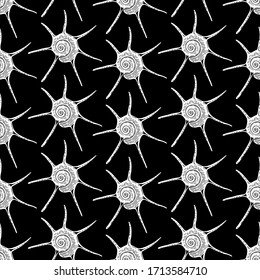 Seashell star. Black and white hand-drawn collection of seamless patterns. Vector illustration.
