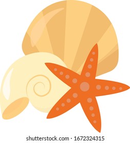 Seashell and star, illustration, vector on white background.