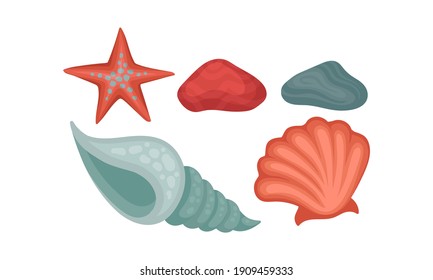 Seashell and Starfish as Beach and Ocean Bottom Objects Vector Set