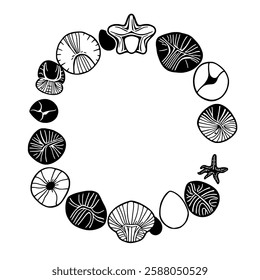 Seashell and Starfish Circle Frame: Coastal Nature Illustration