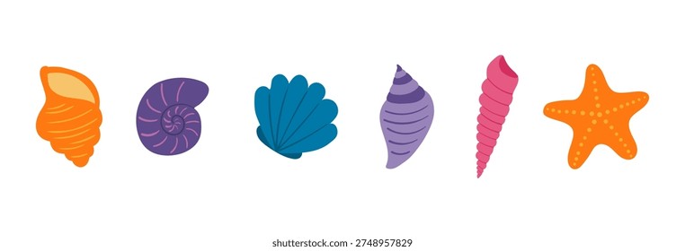 Seashell, starfish illustration isolated set. Summer holidays, vacations, tropical resort, beach, marine wildlife, aquatic animal. Flat design element, clip art collection, hand drawn vector