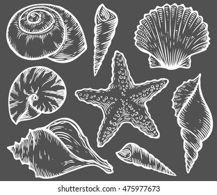 Conjunto de vectores subacuáticos marinos de la naturaleza de la linterna. Ilustración de grabado marino dibujada a mano sobre fondo negro