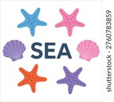 Seashell starfish sea vector background illustration isolated on white background