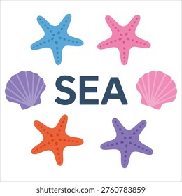 Seashell starfish sea vector background illustration isolated on white background