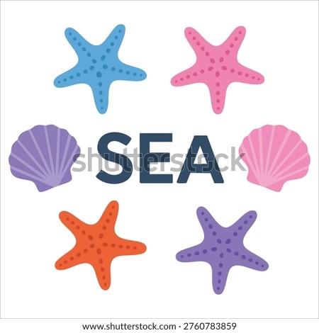 Seashell starfish sea vector background illustration isolated on white background