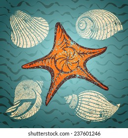 seashell and starfish set vintage vector illustration