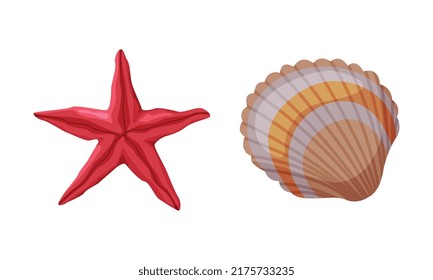Seashell and Starfish as Travel and Tourism Attribute Vector Set