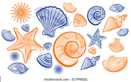 Seashell summer draw, icon created with illustrator watercolor brush