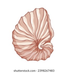 Seashell. Summer marine decor. Vector graphics.